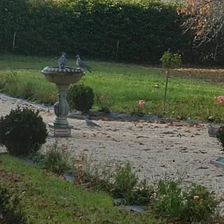 L'aile De La Sauvagère Chemiré-le-Gaudin